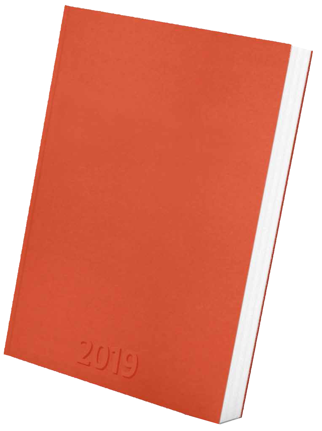 agenda19